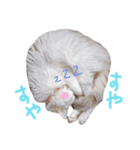 猫のしぃちゃん1（個別スタンプ：9）