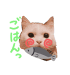 猫のしぃちゃん1（個別スタンプ：10）