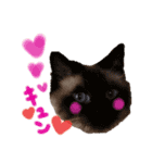 猫のしぃちゃん1（個別スタンプ：16）