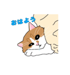 あら坊とむーちゃん！（個別スタンプ：2）