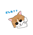 あら坊とむーちゃん！（個別スタンプ：3）