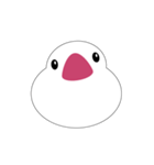 白文鳥は喋りません（個別スタンプ：1）