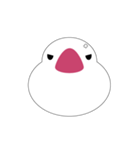 白文鳥は喋りません（個別スタンプ：4）