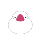 白文鳥は喋りません（個別スタンプ：7）