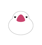 白文鳥は喋りません（個別スタンプ：8）