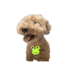 といぷーどるのくう 2（個別スタンプ：18）