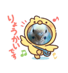 セキセイインコのミィちゃんスタンプ♡♪（個別スタンプ：11）