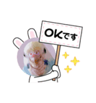 セキセイインコのミィちゃんスタンプ♡♪（個別スタンプ：12）