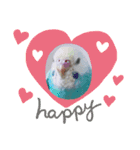 セキセイインコのミィちゃんスタンプ♡♪（個別スタンプ：24）