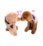 Kota×Rita（個別スタンプ：2）