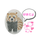 あらいぐまの絵（個別スタンプ：1）