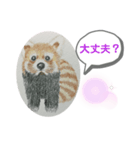 あらいぐまの絵（個別スタンプ：2）