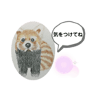 あらいぐまの絵（個別スタンプ：3）