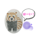あらいぐまの絵（個別スタンプ：4）