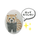 あらいぐまの絵（個別スタンプ：5）