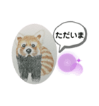 あらいぐまの絵（個別スタンプ：7）