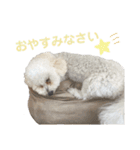 ぼく、もんた。2（個別スタンプ：11）