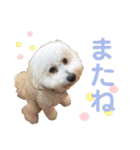 ぼく、もんた。2（個別スタンプ：12）