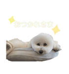 ぼく、もんた。2（個別スタンプ：13）
