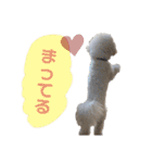 ぼく、もんた。2（個別スタンプ：21）
