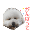 ぼく、もんた。2（個別スタンプ：24）