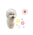 ぼく、もんた。2（個別スタンプ：28）