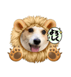 ジャックラッセルテリアの宙（個別スタンプ：5）