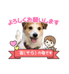 ジャックラッセルテリアの宙（個別スタンプ：6）