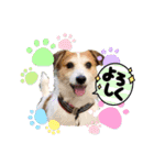ジャックラッセルテリアの宙（個別スタンプ：9）