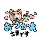 ジャックラッセルテリアの宙（個別スタンプ：12）