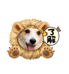 ジャックラッセルテリアの宙（個別スタンプ：19）