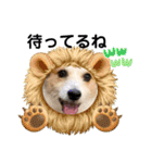 ジャックラッセルテリアの宙（個別スタンプ：27）