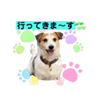 ジャックラッセルテリアの宙（個別スタンプ：30）