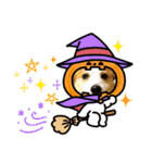 ジャックラッセルテリアの宙（個別スタンプ：35）