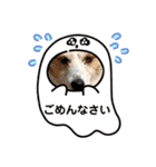 ジャックラッセルテリアの宙（個別スタンプ：39）