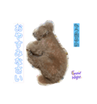 可愛いトイプードルのティアラ（個別スタンプ：2）