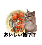 福猫＆花猫〜弁護士向け？スタンプ〜（個別スタンプ：2）