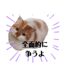 福猫＆花猫〜弁護士向け？スタンプ〜（個別スタンプ：11）