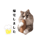 福猫＆花猫〜弁護士向け？スタンプ〜（個別スタンプ：14）