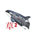 鯱1（個別スタンプ：4）