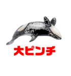 鯱1（個別スタンプ：8）