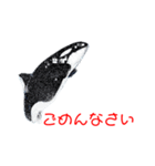 鯱1（個別スタンプ：19）