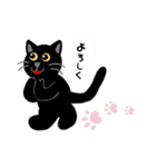 黒猫クロクロ（個別スタンプ：23）