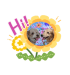可愛いワンワンすたんぷ（個別スタンプ：6）