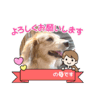 可愛いワンワンすたんぷ（個別スタンプ：7）