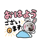 可愛いワンワンすたんぷ（個別スタンプ：16）