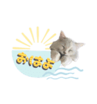 ぴのあのスタンプ@bdstamp（個別スタンプ：5）