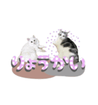 ぴのあのスタンプ@bdstamp（個別スタンプ：7）