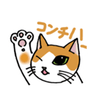 片目猫のくるみちゃん full（個別スタンプ：1）