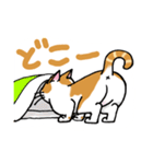 片目猫のくるみちゃん full（個別スタンプ：3）